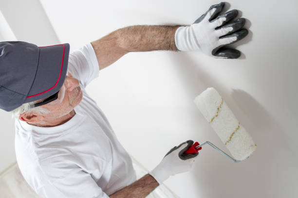 Best Mold Remediation for Healthcare Facilities  in Noank, CT