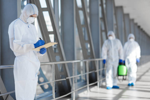 Best Emergency Mold Remediation  in Noank, CT