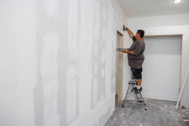 Best Basement Mold Removal  in Noank, CT